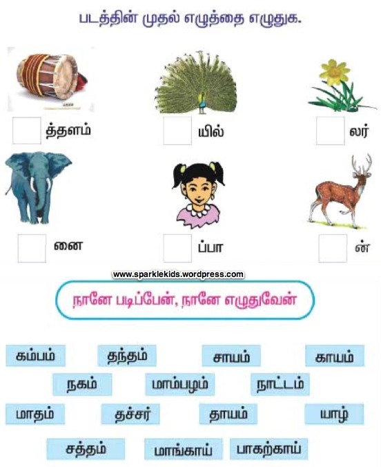 Sample Tamil Worksheets Sparklekids